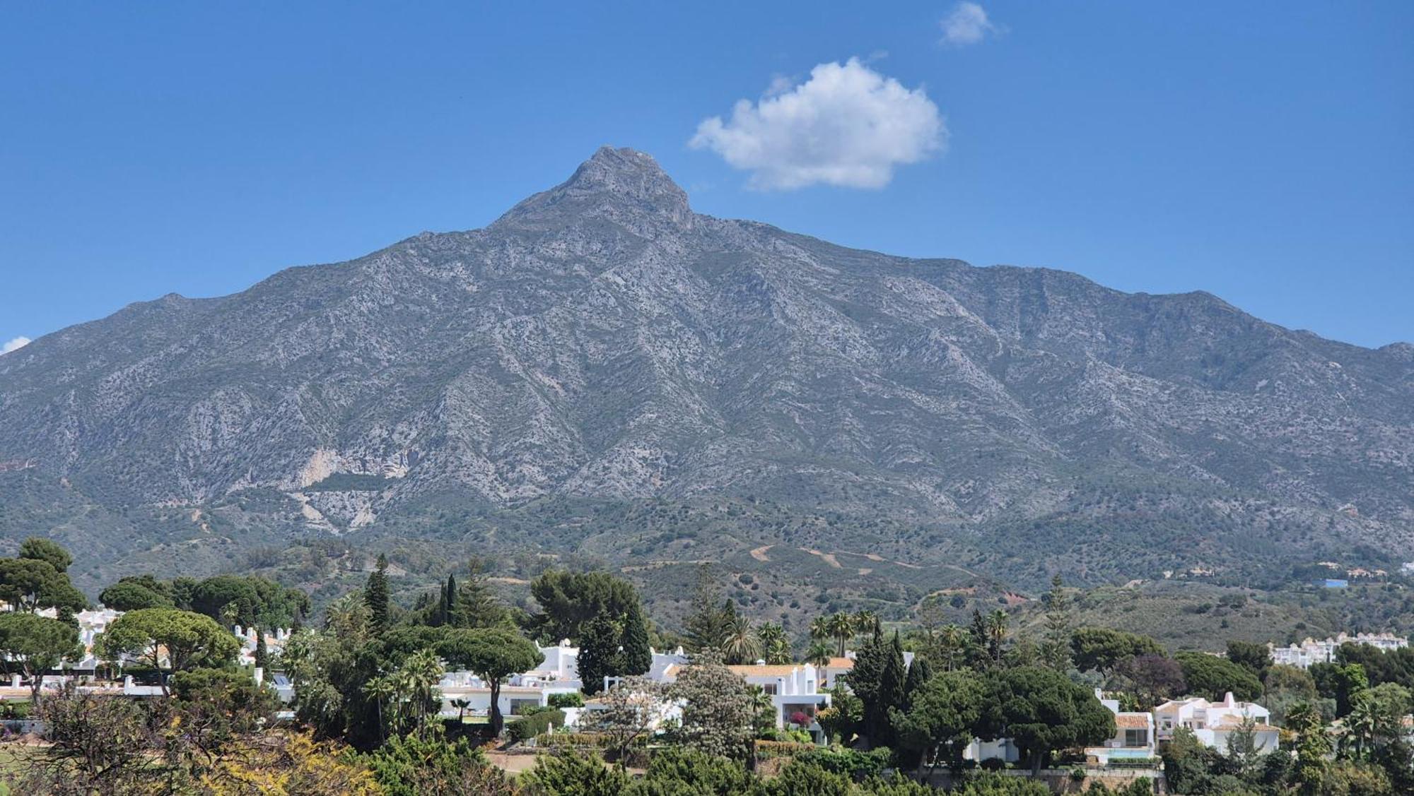En Aloha Marbella